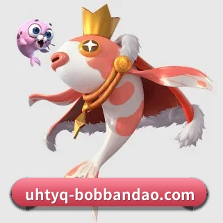bob半岛 APP